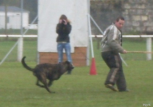  Eros des Crocs d’Olympe